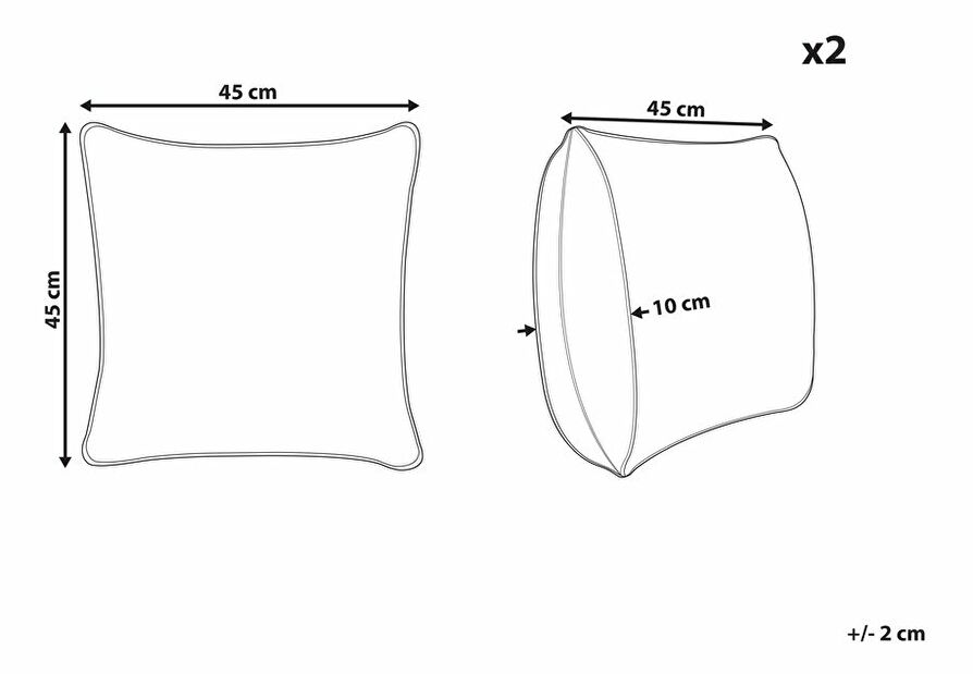 Sada 2 ozdobných polštářů 45 x 45 cm Ixoria (béžová)